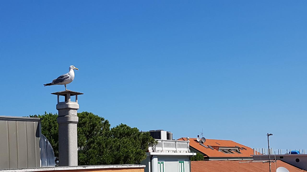 Hotel Le Pleiadi Bellaria-Igea Marina Eksteriør bilde
